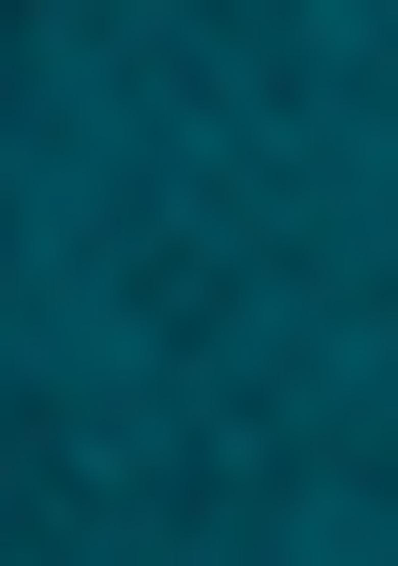 Firozi Embrodery Work Silk Saree Set