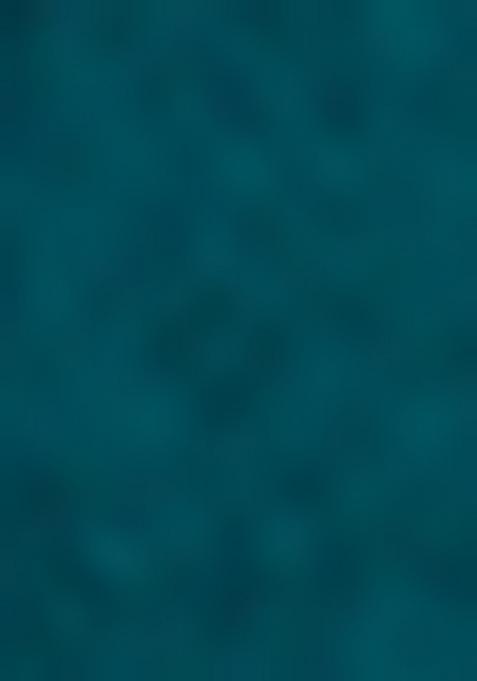 Firozi Embrodery Work Silk Saree Set