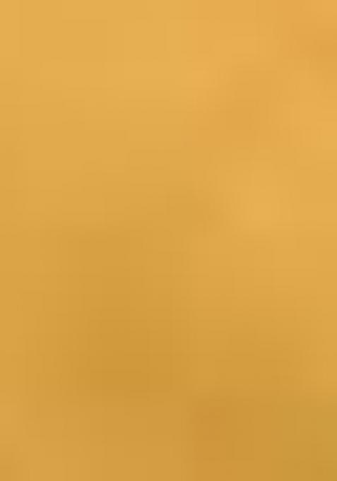 Yellow And Dark Green Sequin Work Silk Saree Set