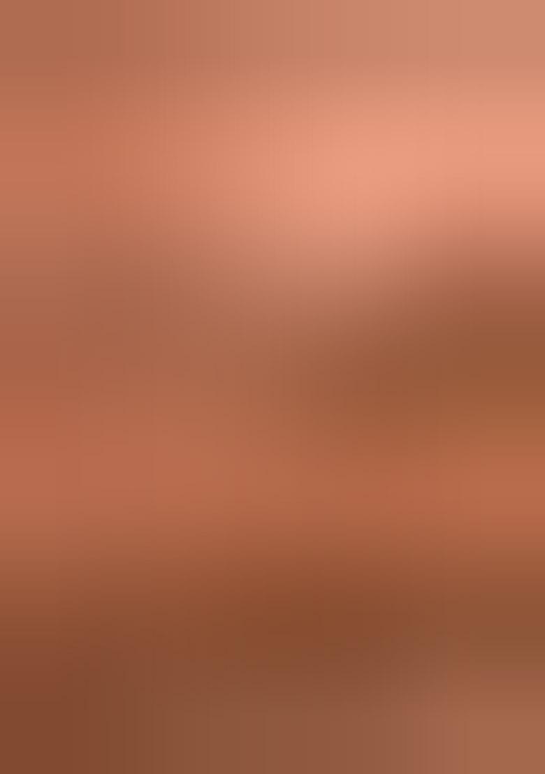 Peach Gold Sequin Work Silk Saree Set