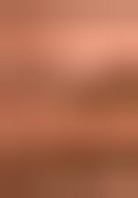 Peach Gold Sequin Work Silk Saree Set