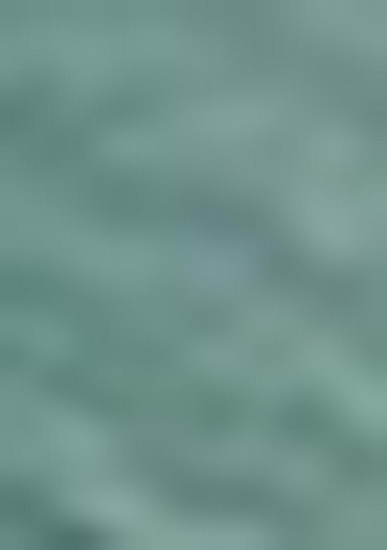 Turquoise Sequin Work Silk Saree Set