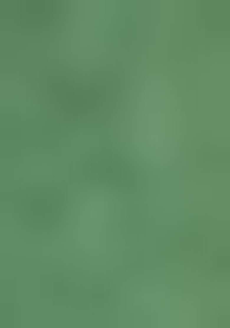 Olive Green Sequin Work Silk Blend Saree Set - Indya