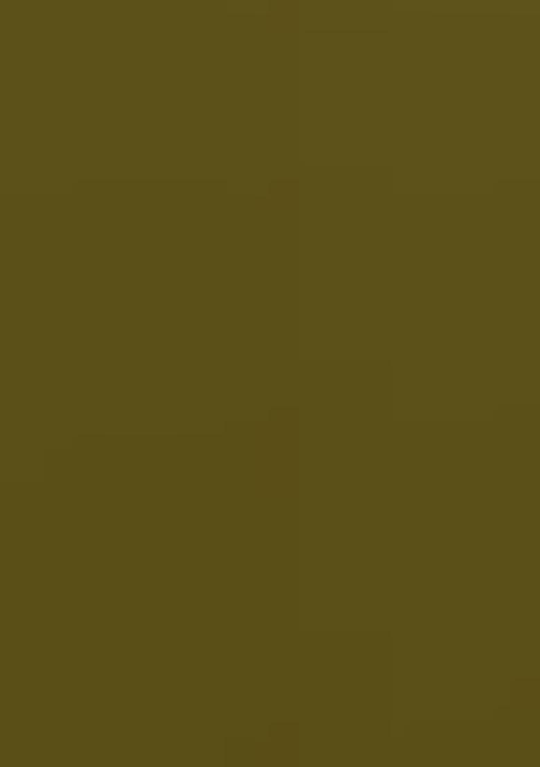 Gold Bronze Sequin Work Silk Saree Set