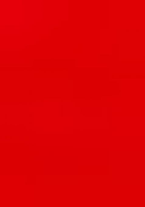 Red Zarkan Diamond Cut Dana Border Two Tone Silk Saree Set