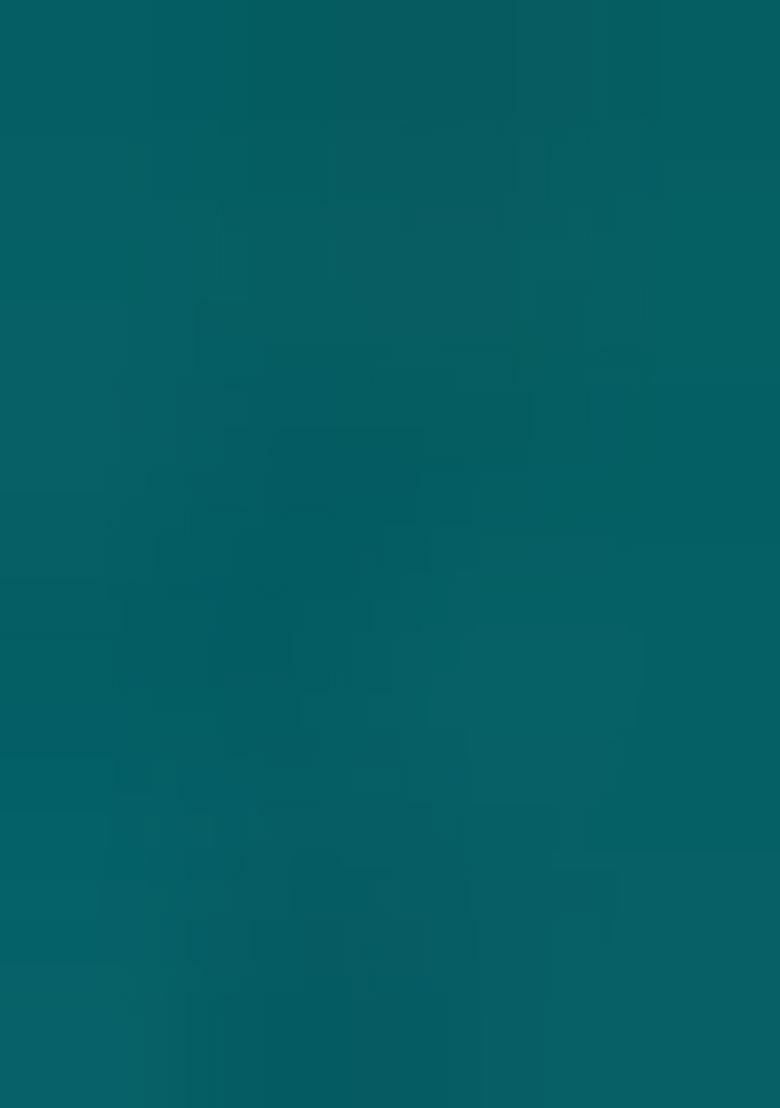 Sea Green Zarkan Diamond Cut Dana Border Two Tone Silk Saree Set