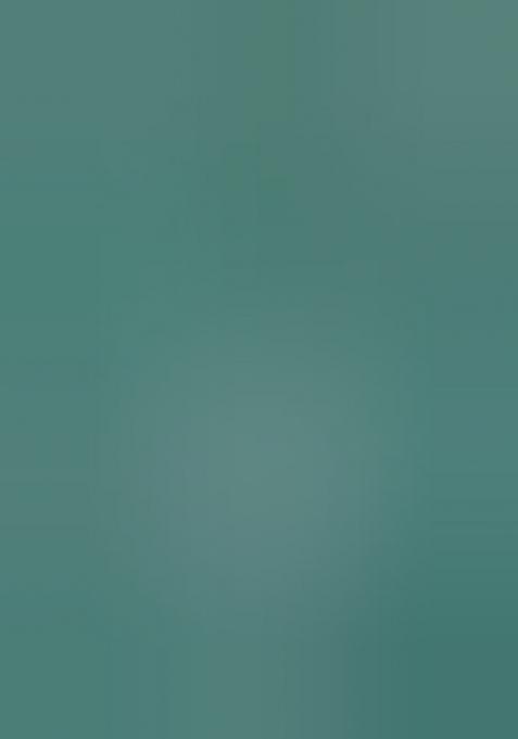 Green Zarkan Diamond Cut Dana Border Two Tone Silk Saree Set