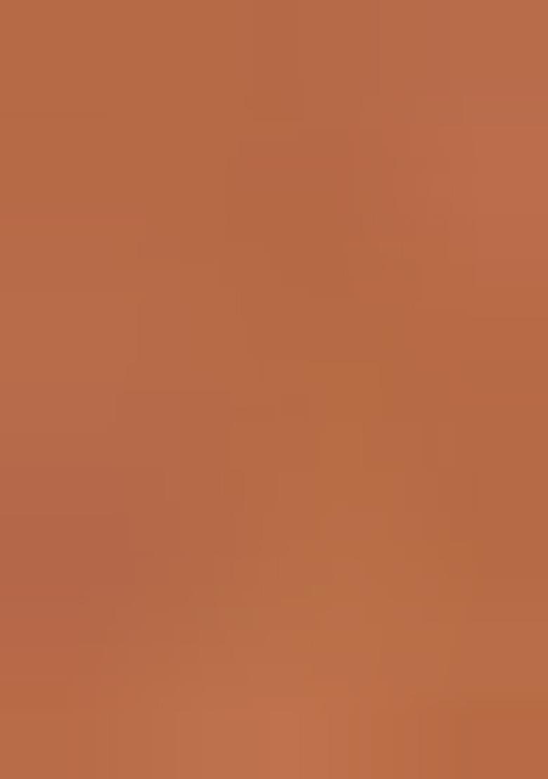 Brown Zarkan Diamond Cut Dana Border Two Tone Silk Saree Set