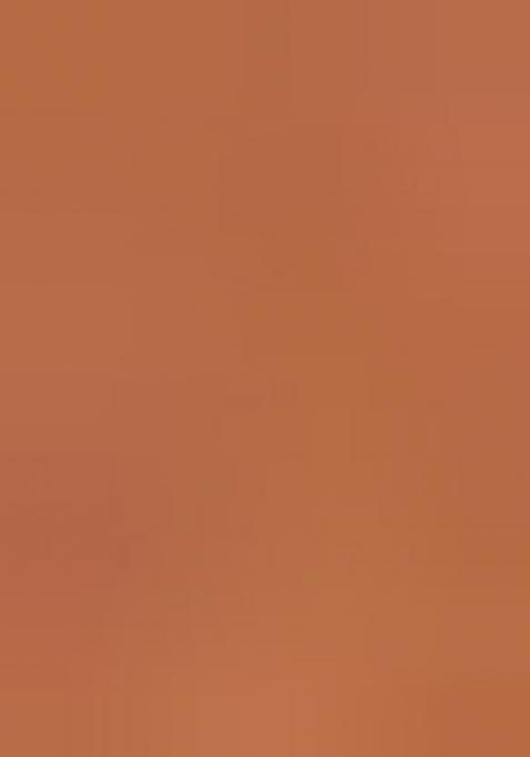 Brown Zarkan Diamond Cut Dana Border Two Tone Silk Saree Set