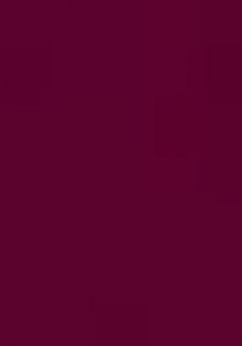 Wine Sequin Zari Embroidered Georgette Saree Set