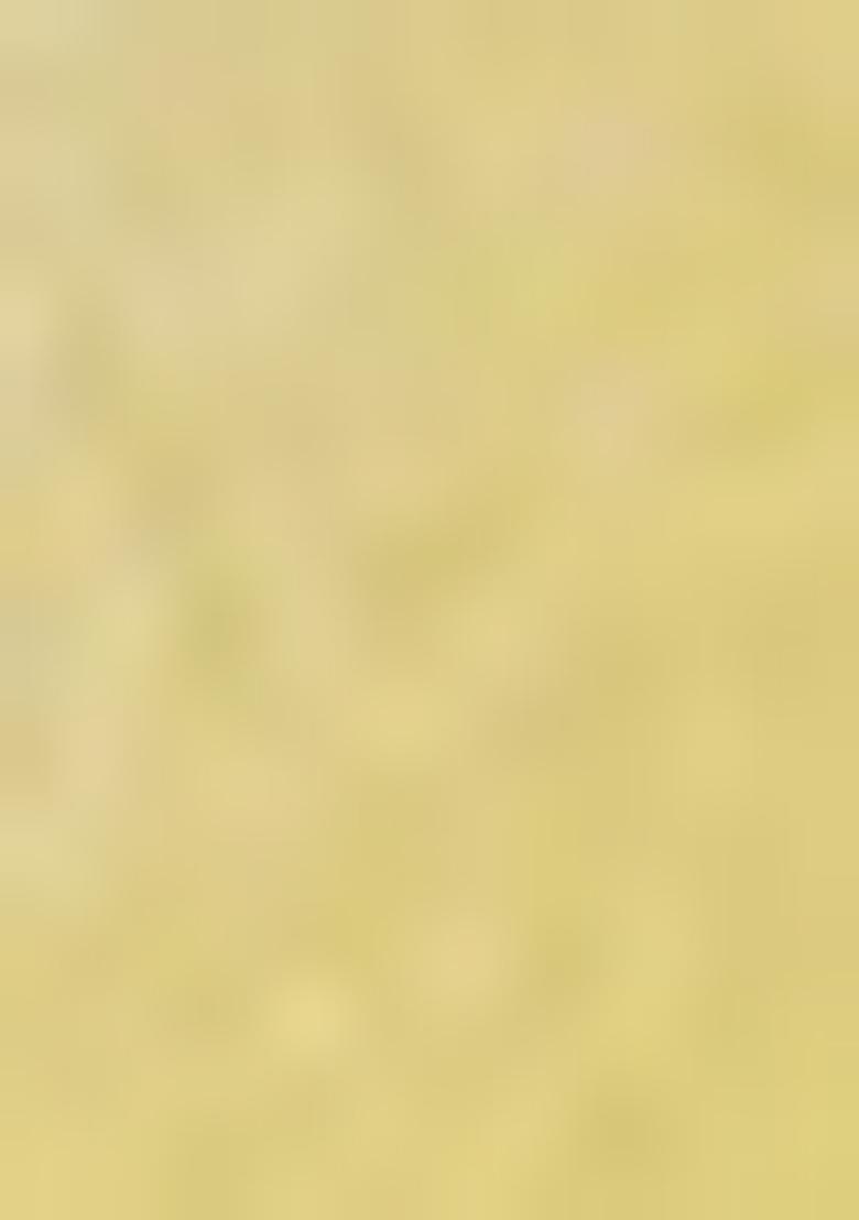 Yellow Siroski Stone Border Art Silk Saree Set