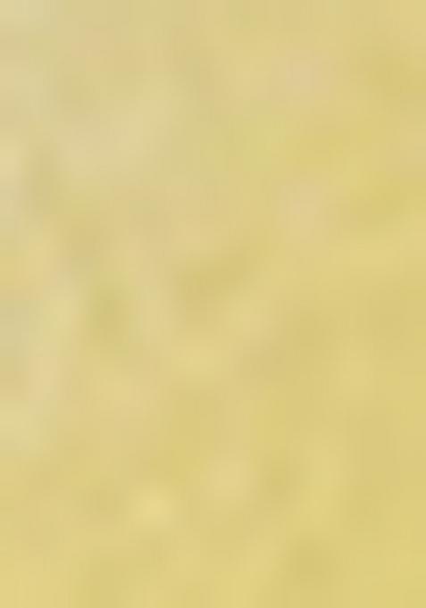 Yellow Siroski Stone Border Art Silk Saree Set