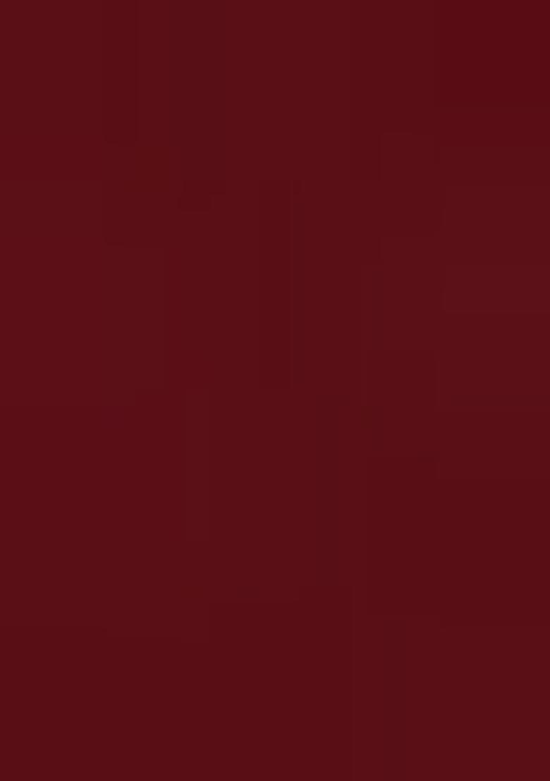 Wine Zarkan Embroidered Border Two Tone Silk Saree Set