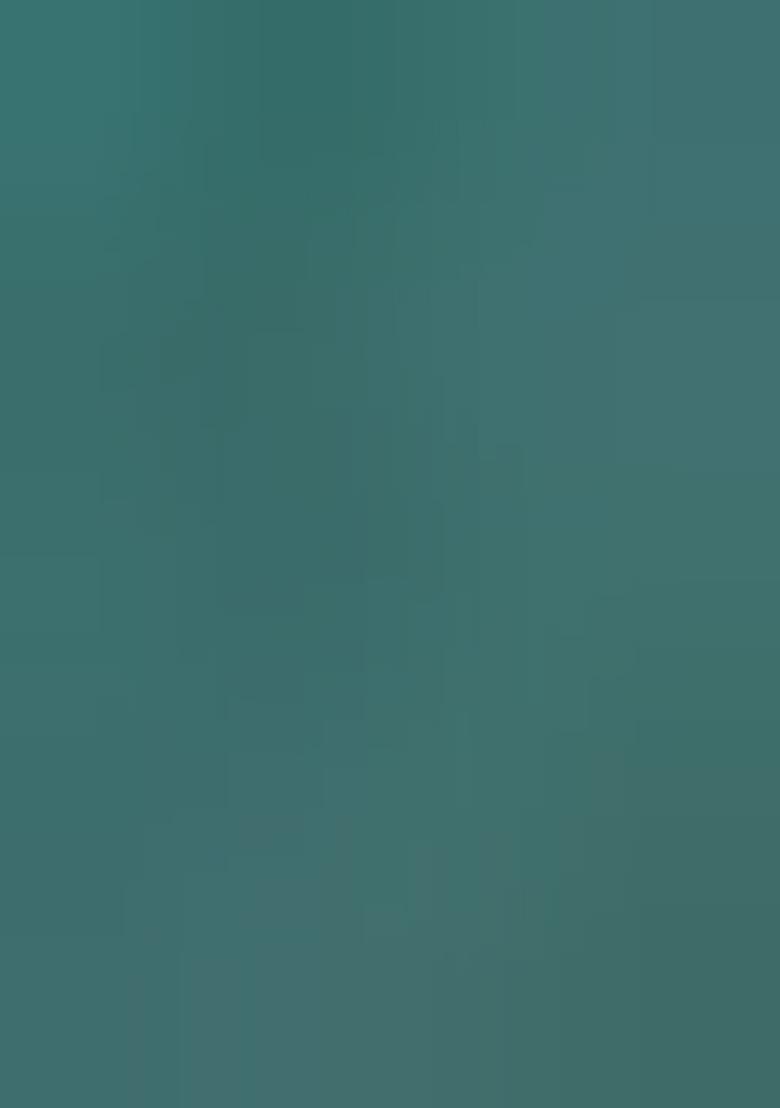 Turquoise Zarkan Embroidered Border Two Tone Silk Saree Set