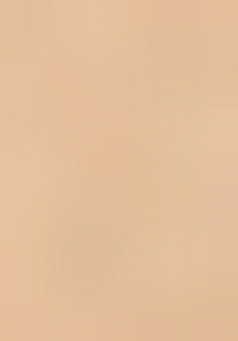 Beige Sequin Zari Stone Border Net Saree Set