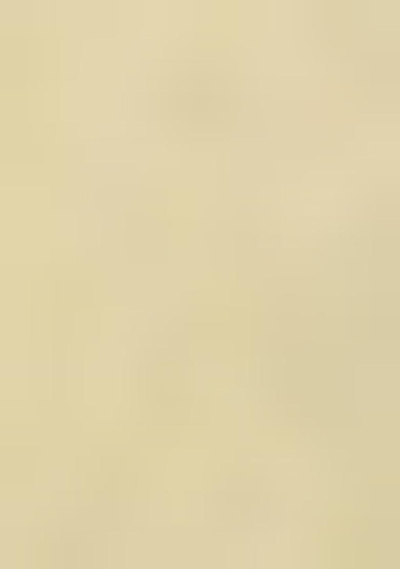 Beige Sequin Zari Stone Border Net Saree Set