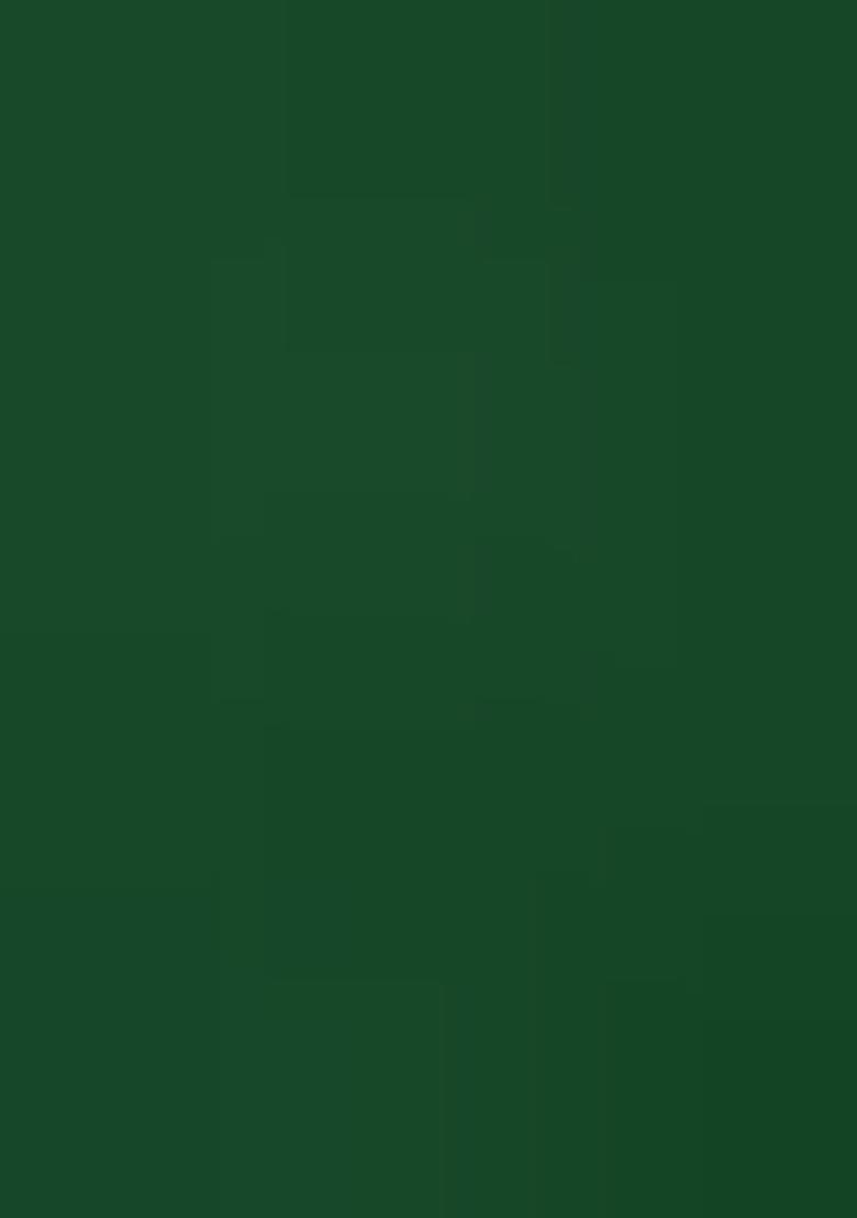 Bottle Green Zarkan Stone Border Georgette Saree Set