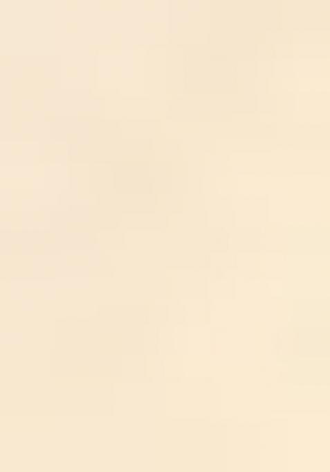 Off White Zarkan Stone Border Georgette Saree Set