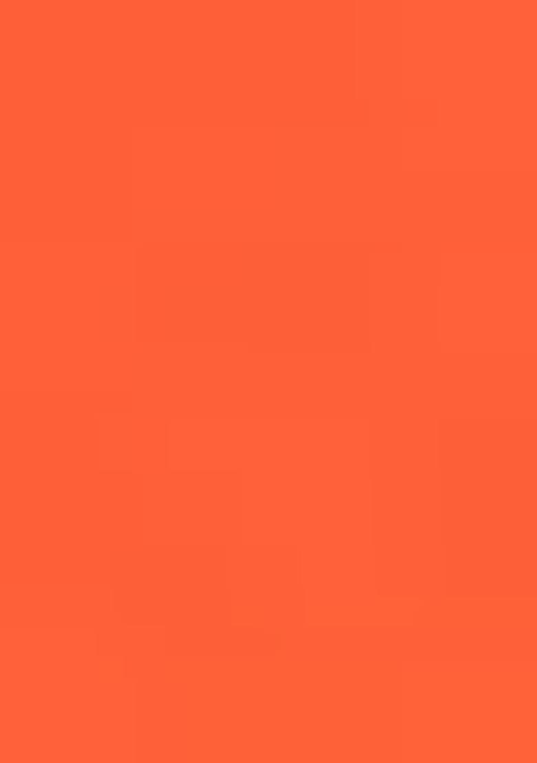 Peach Zarkan Stone Border Georgette Saree Set