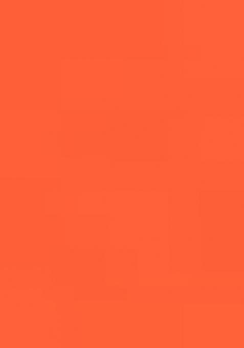 Peach Zarkan Stone Border Georgette Saree Set