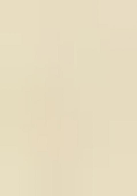 Off White Sequin Embroidered Border Georgette Saree Set