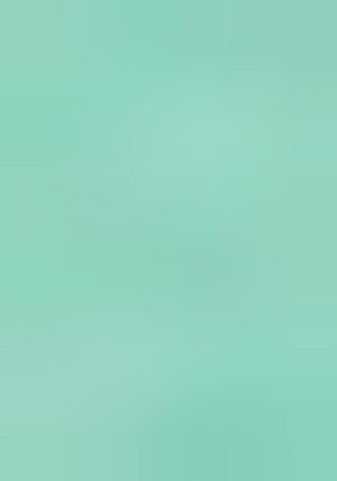 Sea Green Sequin Embroidered Border Georgette Saree Set