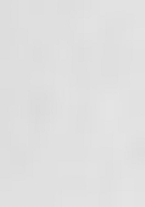 White Sequin Embroidered Border Net Saree Set