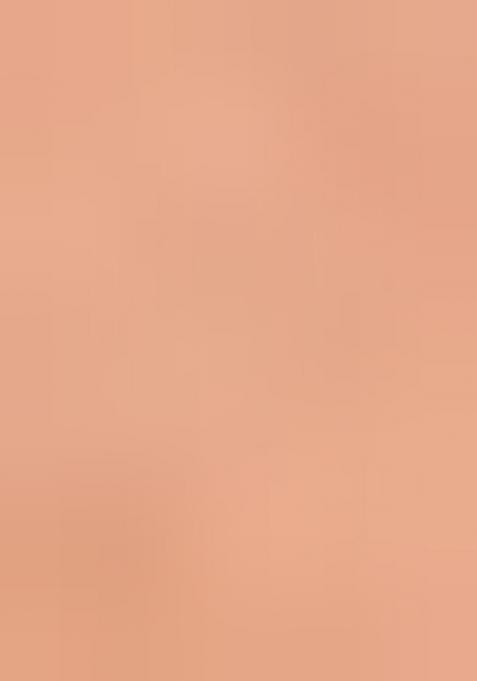 Peach Sequin Embroidered Border Net Saree Set