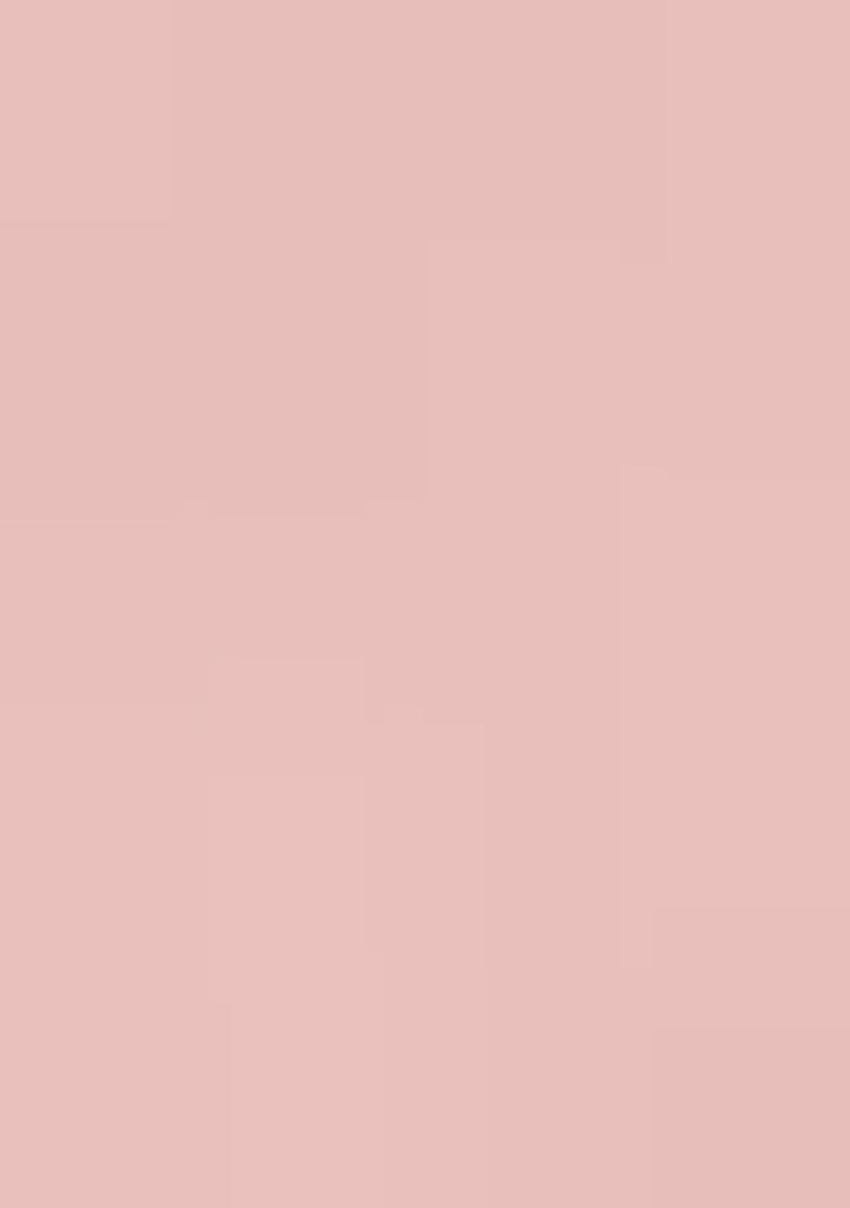 Peach Sequin Embroidered Border Net Saree Set