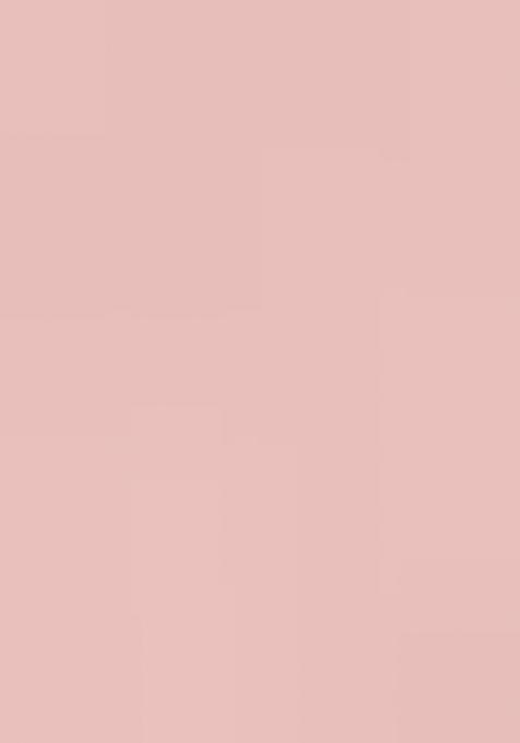 Peach Sequin Embroidered Border Net Saree Set