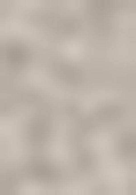 Silver Floral Georgette Saree Set