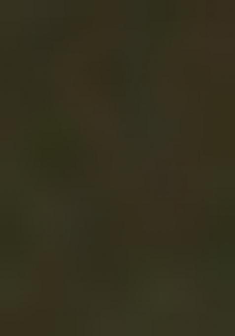 Green Solid Satin Saree Set