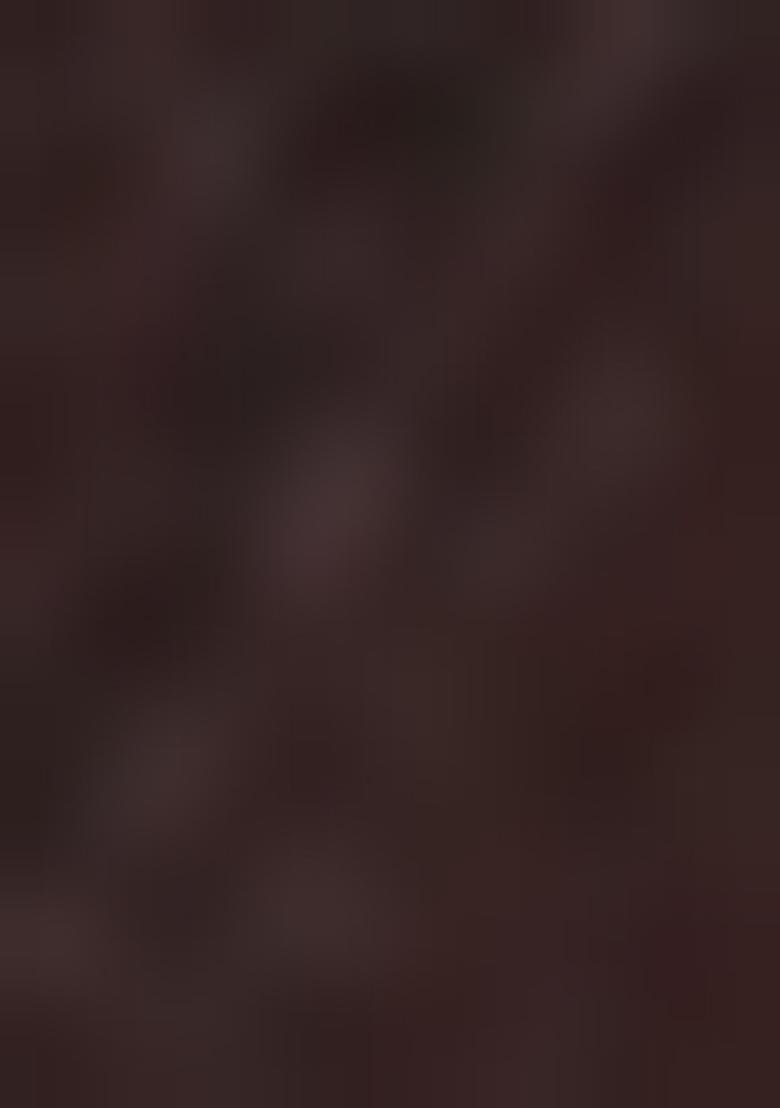 Brown Solid Satin Saree Set