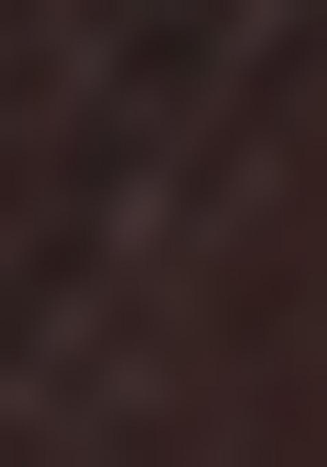 Brown Solid Satin Saree Set