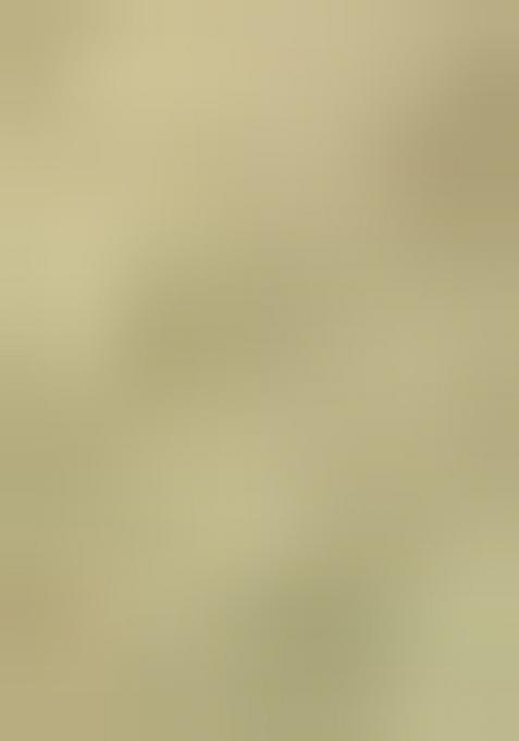 Green Solid Satin Saree Set