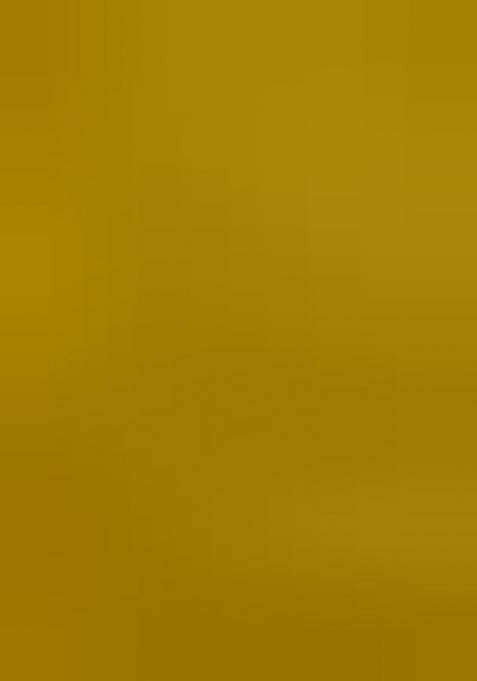 Gold Solid Velvet Saree Set