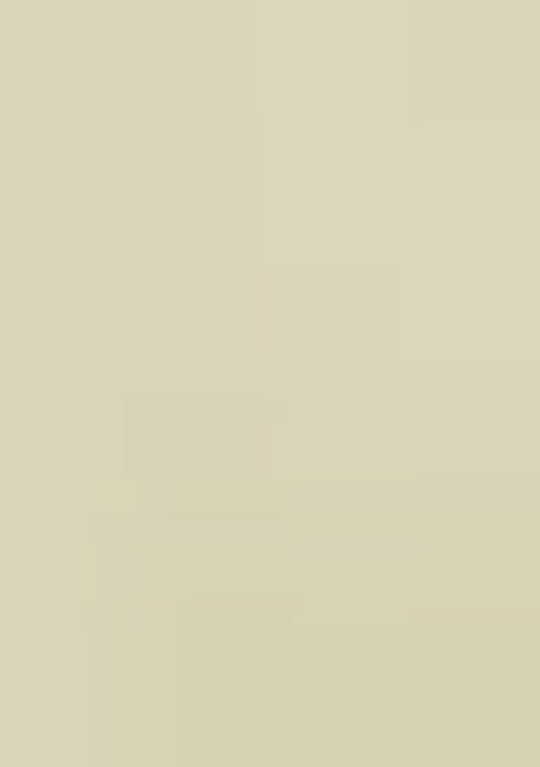 Mehndi Foil Printed Organza Saree Set