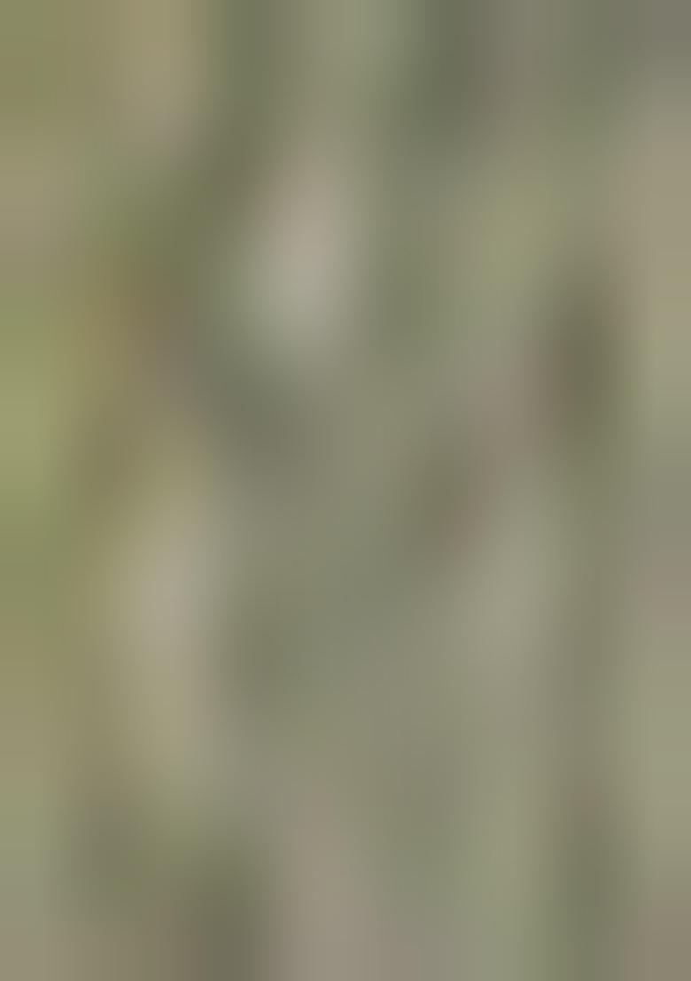 Dusty Pista Embroidered Soft Net Saree Set - Indya