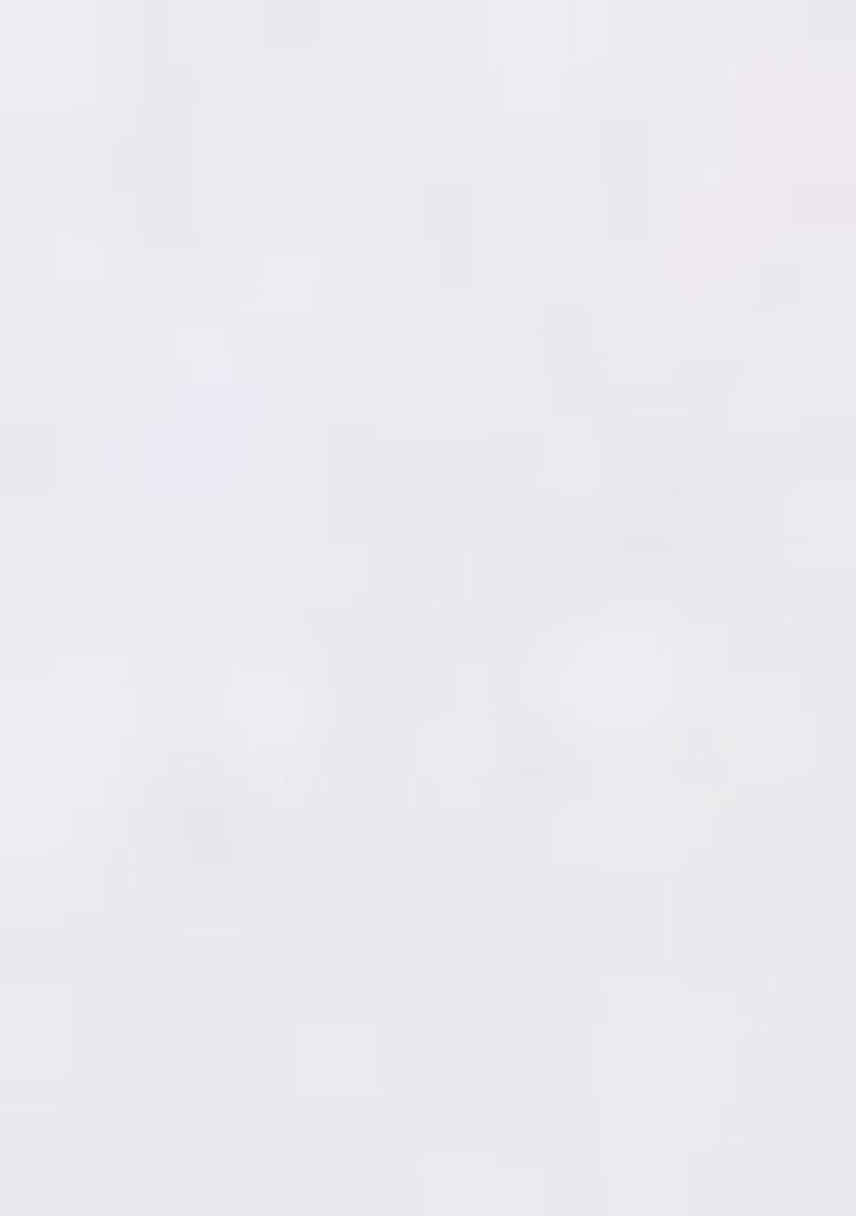 White Embroidered Soft Net Saree Set - Indya