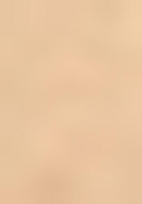 Chiku Embroidered Soft Net Saree Set