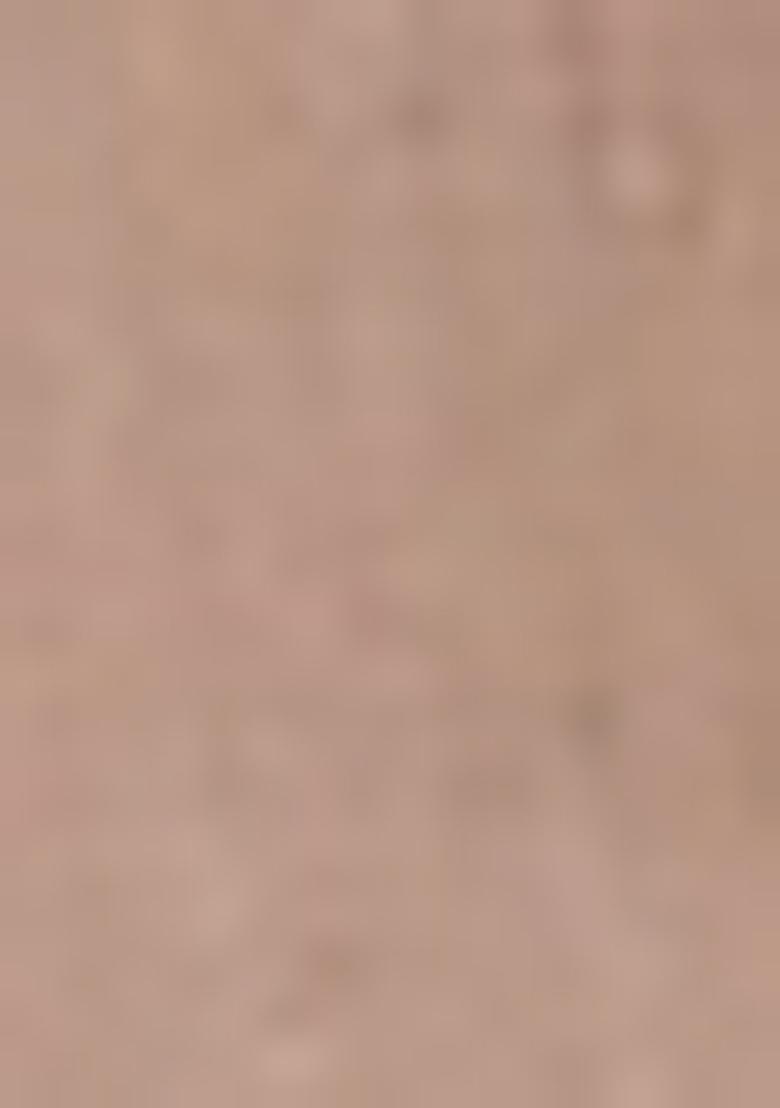 Mouse Embroidered Soft Net Saree Set - Indya