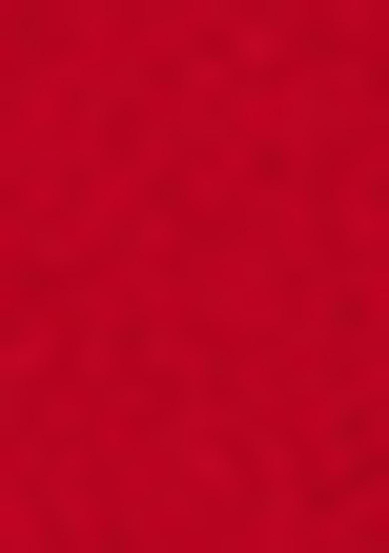 Red Embroidered Georgette Saree Set - Indya