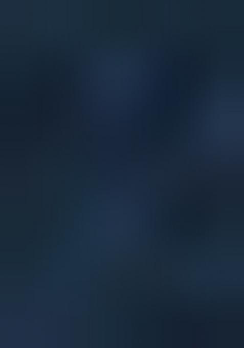 Morpeach Embroidered Silk Saree Set