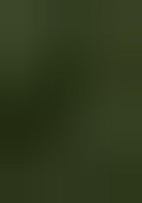 Green Printed Tissue Silk Saree