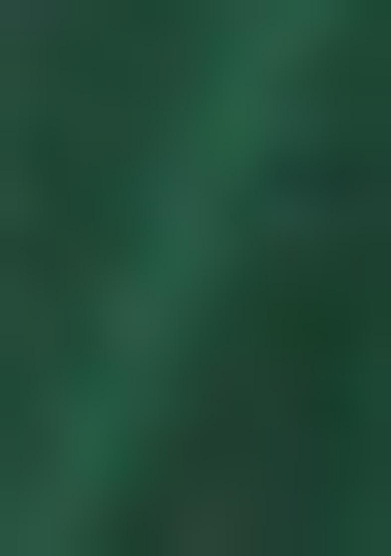 Green Solid Art Silk Saree