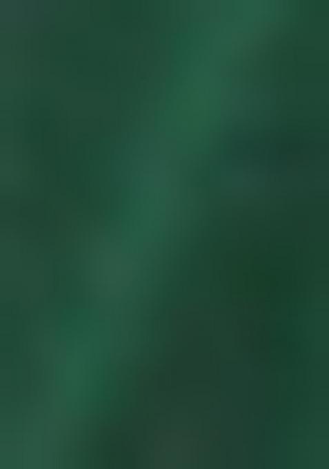 Green Solid Art Silk Saree