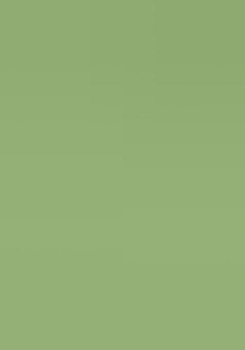 Lime Green Woven Design Cotton Saree