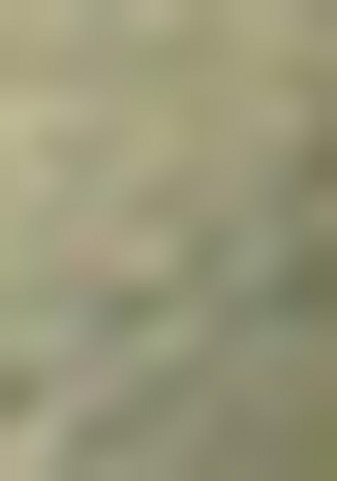 Green Printed Tissue Silk Saree