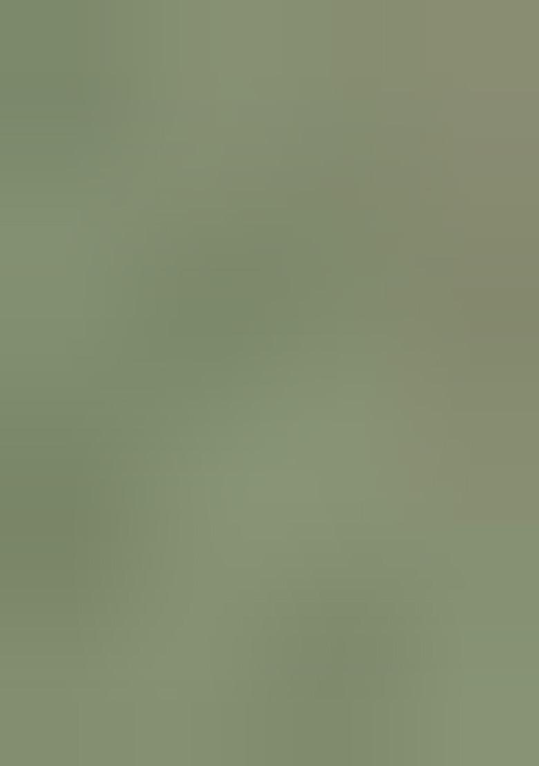 Green Solid Soft Silk Saree