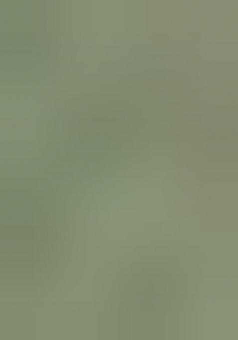 Green Solid Soft Silk Saree